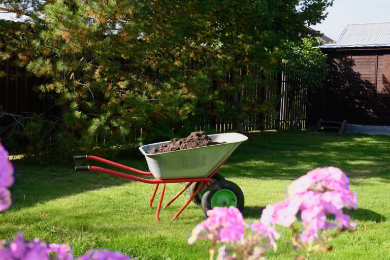 Wheelbarrow full of compost on yard